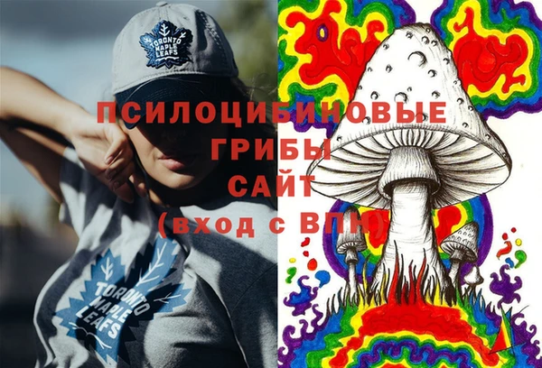 jwh Каменногорск